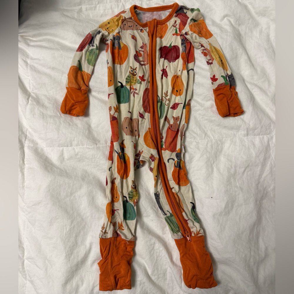 Little Sleepies Autumn Animals Footie